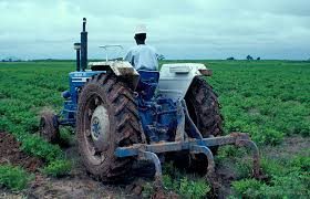 Problems of Agriculture in Nigeria