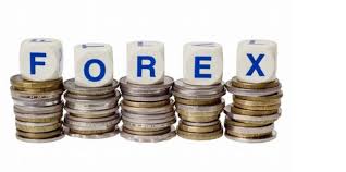 Important Facts about Forex Trading