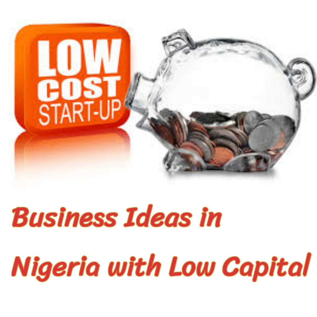 Business Ideas in Nigeria with Low Capital