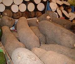 Yam Business in Nigeria: How to Get Started