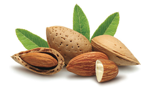 What is the Yoruba Name for Almond?