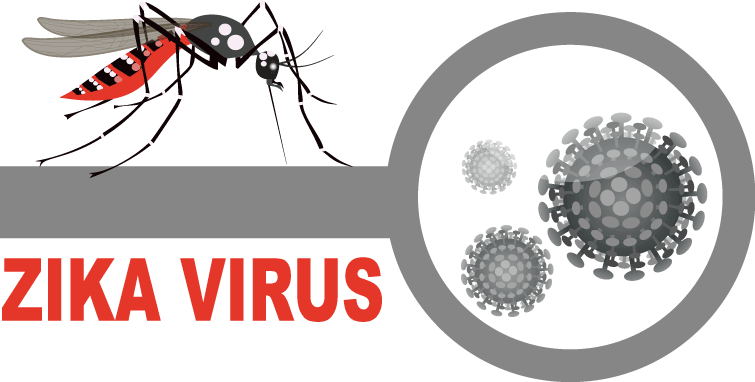 Zika Virus in Nigeria: All You Need to Know