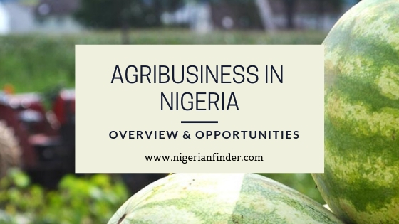 Agribusiness in Nigeria: Overview & Opportunities (2021)