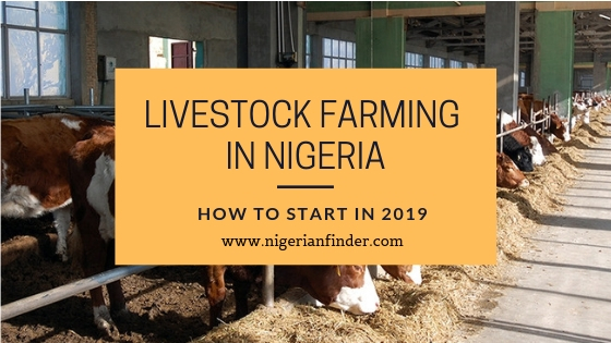 Livestock Farming in Nigeria: How to Start in 2022
