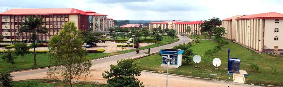 Afe Babalola University Admission Requirements
