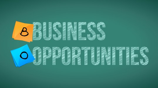 Business Opportunities in Northern Nigeria (2020)
