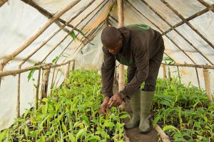 Problems of Agricultural Programmes in Nigeria