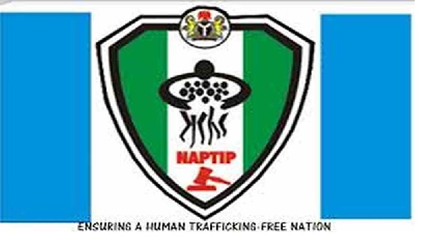NAPTIP Offices in Nigeria & Contact Details