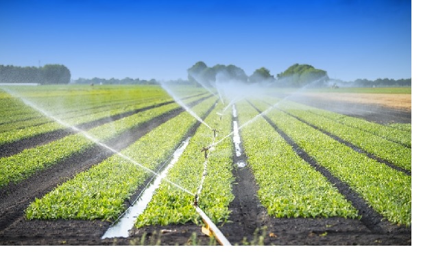 Importance of Irrigation in Nigeria