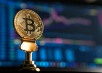 How to Analyze Bitcoin Market Trends?