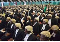 Types of Lawyers in Nigeria 