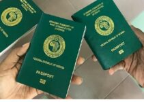 Types of International Passport in Nigeria