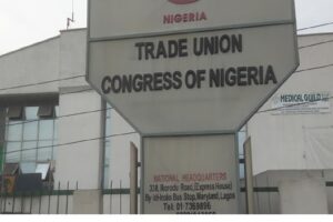 Types of Trade Union in Nigeria 