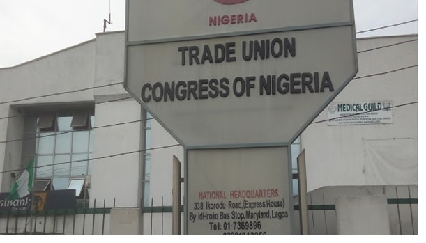 Types of Trade Union in Nigeria 