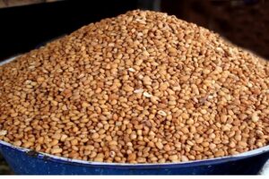 Types of Beans in Nigeria