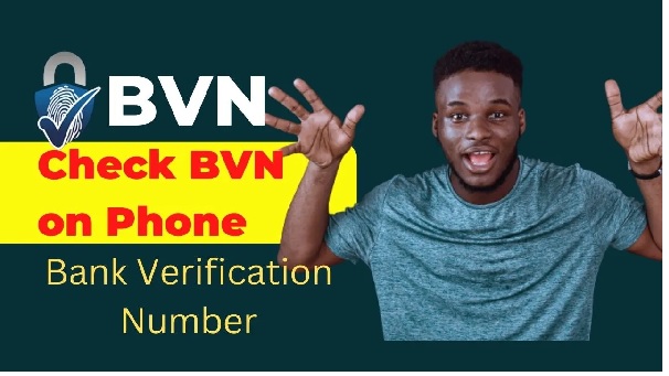 How to Check Your BVN Without Airtime