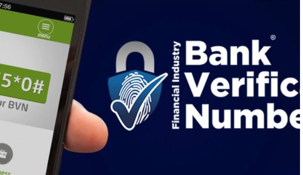 How to Check Your BVN without a Phone Number 