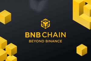 BNB Chain Ecosystem: What Is It?