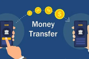 What is the Purpose of a Money Transfer?