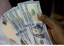 10 Ways to Earn in Dollars in Nigeria
