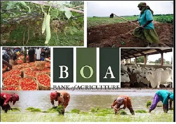 Bank of Agriculture Branches in Nigeria 