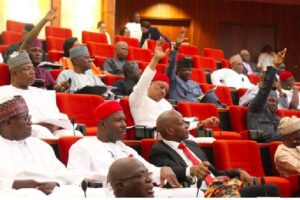 List of Elected Nigerian Senators 2023